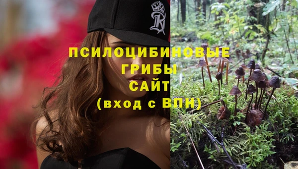 прущий лед Михайлов