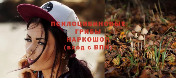 прущий лед Михайлов