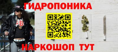сатива Аргун