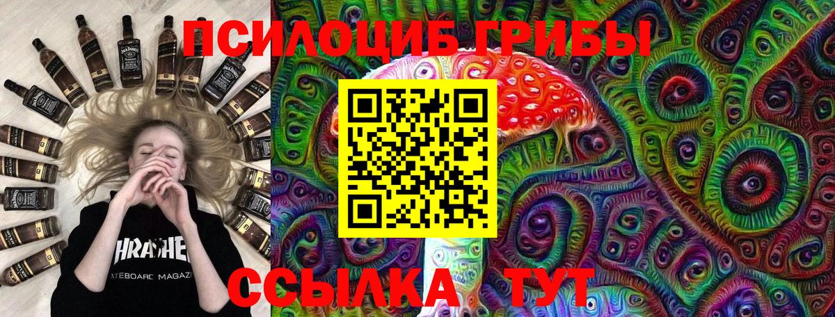 Псилоцибиновые грибы Cubensis Баксан