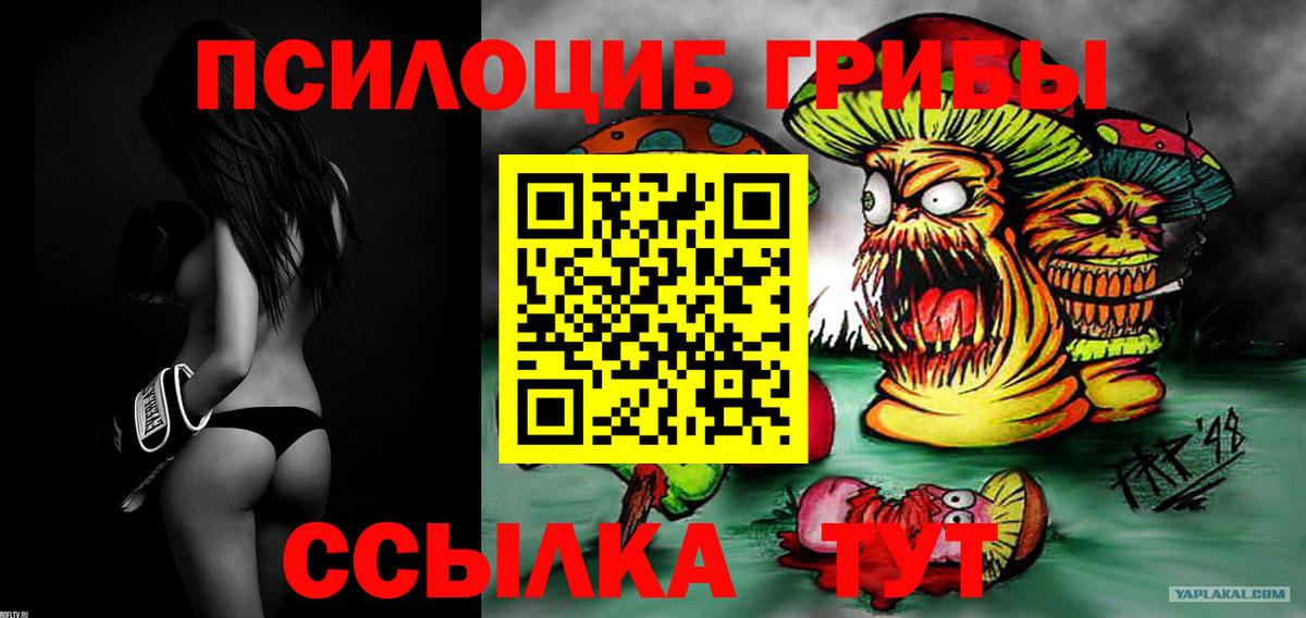 Псилоцибиновые грибы Magic Shrooms  Псилоцибиновые грибы Cubensis  Баксан  Вход с VPN 