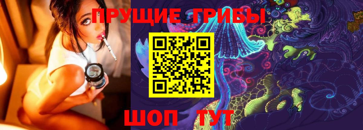 Псилоцибиновые грибы мицелий  Баксан  Галлюциногенные грибы Cubensis 